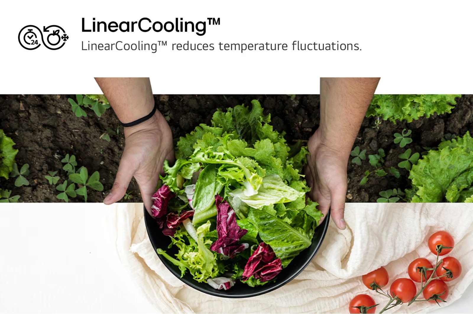 LG 349L InstaView Bottom Freezer Refrigerator with LinearCooling™, DoorCooling+™ & Smart Inverter Compressor – GR-V479QGKW - Image 4